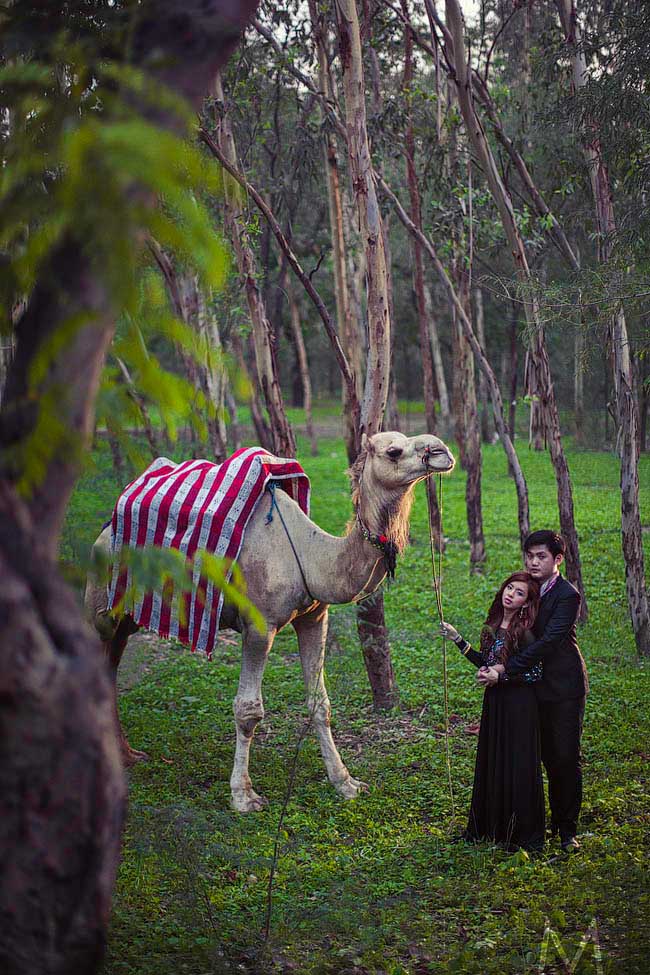 India Prewedding