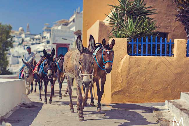 Santorini Trash the Dress