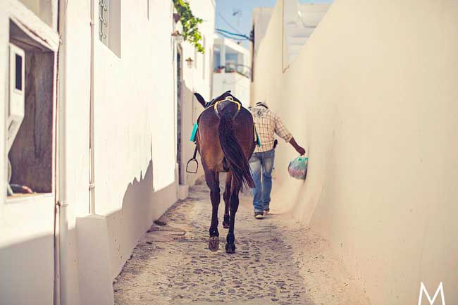 Santorini Trash the Dress