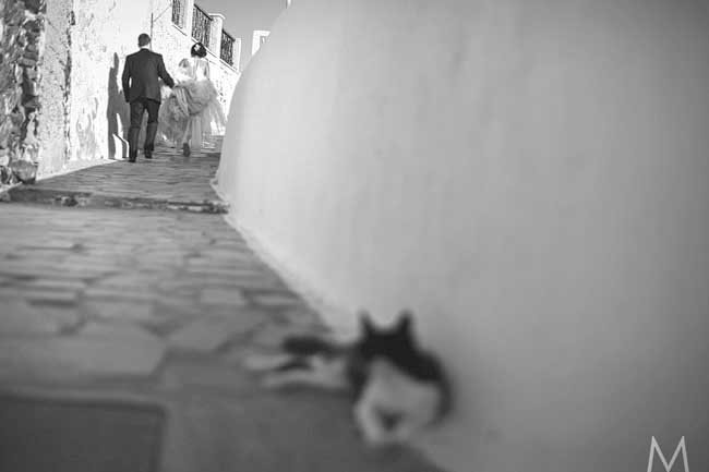 Santorini Trash the Dress