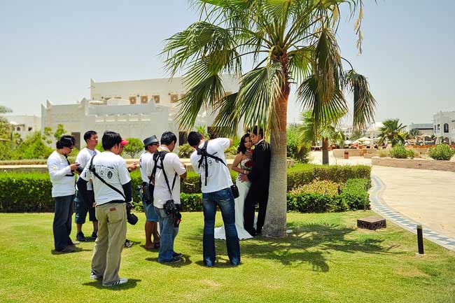 Hothouse_Doha_B001
