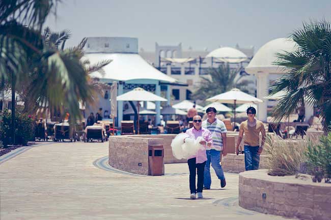 Hothouse_Doha_B003