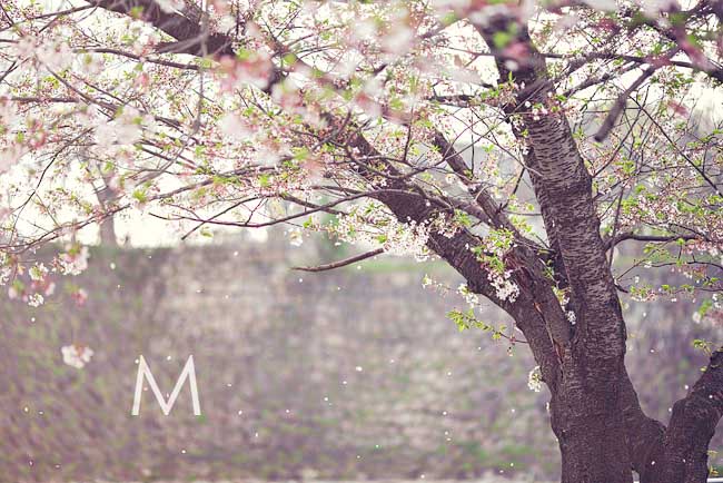 Don_Anj_Blog001