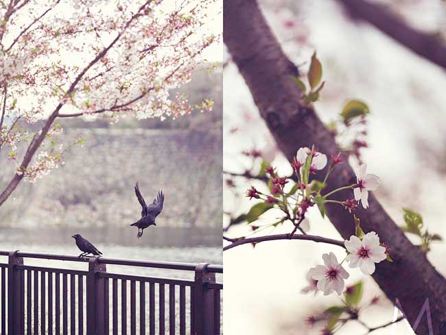 Don_Anj_Blog002