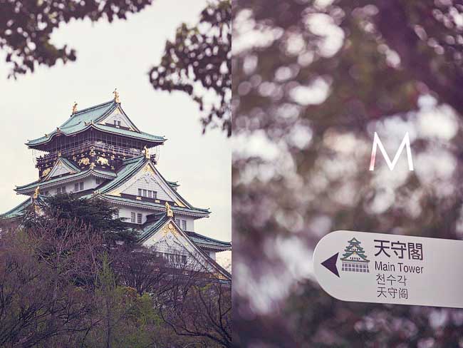 Don_Anj_Blog003