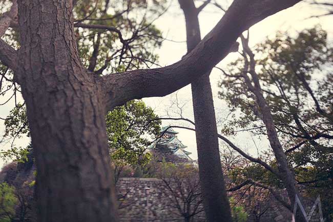 Don_Anj_Blog015