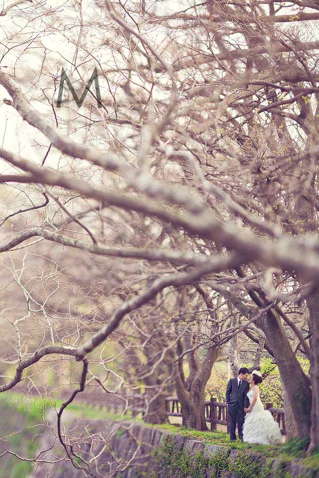 Don_Anj_Blog024