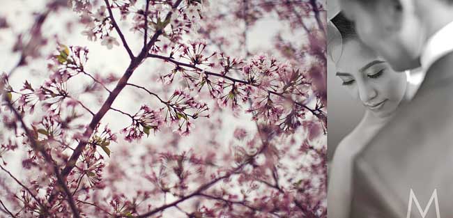 Don_Anj_Blog028