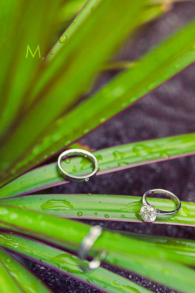 Rings_003