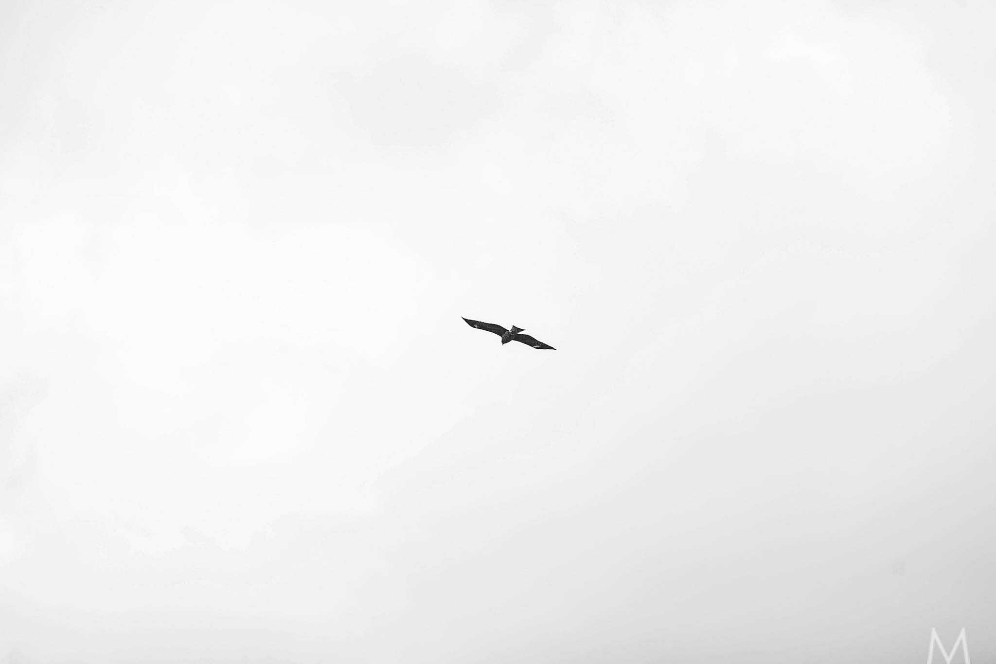 Marge_Ed_EB081